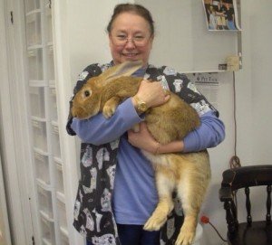 Dr. Goodman - Avian Practice